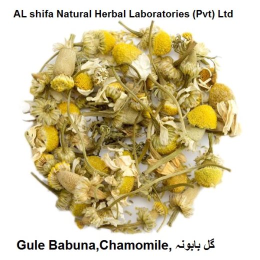 Gule Babuna,Chamomile