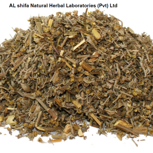 Wormwood, Afsanteen Roomi, Mugwort