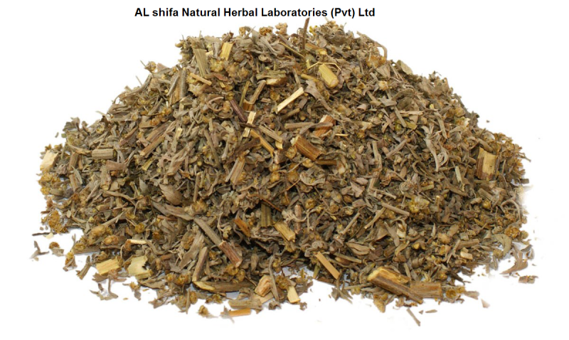 Wormwood, Afsanteen Roomi, Mugwort