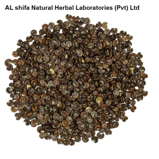 Tukhme Khatmi, Althaea officinalis Linn