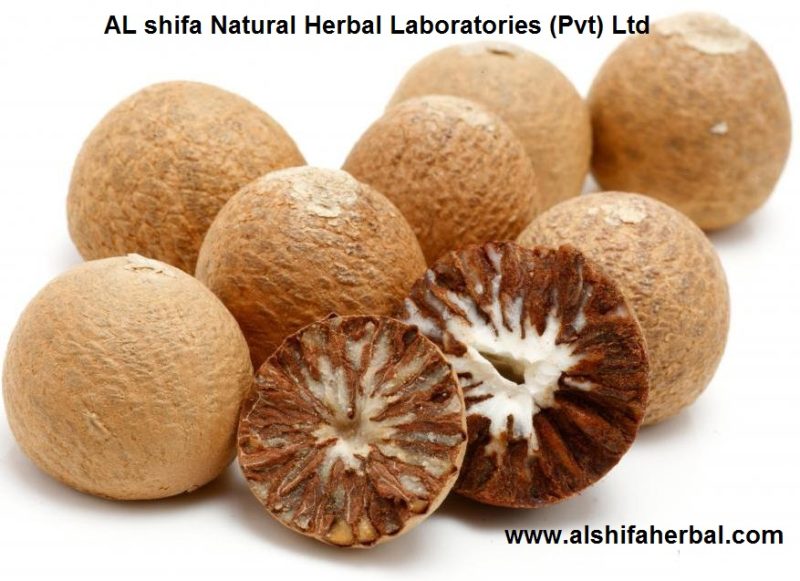 Chalia, Supari, Betel Nut