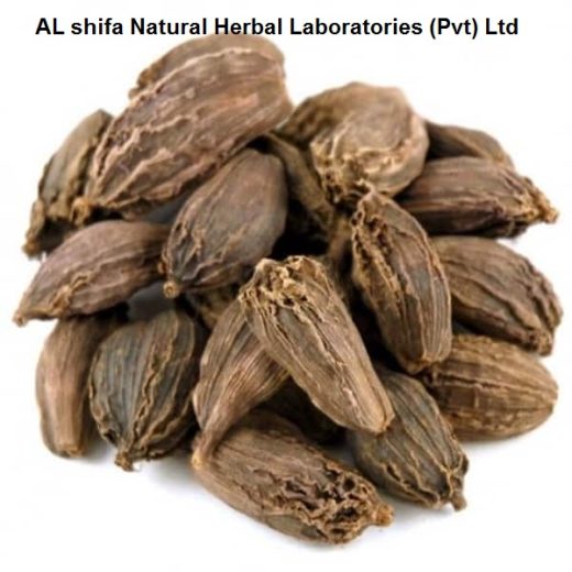 Badi Elaichi, Black Cardamom