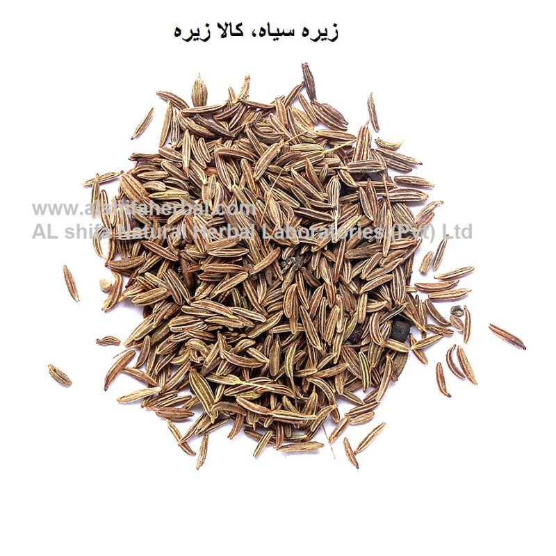 Zeera Siah, Caraway Seeds