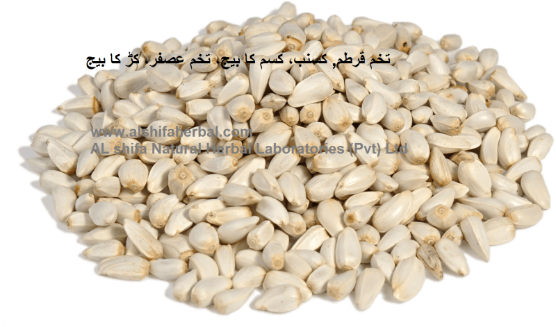 Tukhm-e-Qurtum, Safflower Seeds