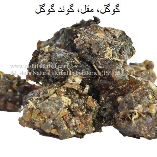 Muqil, Guggal,Gum Guggul