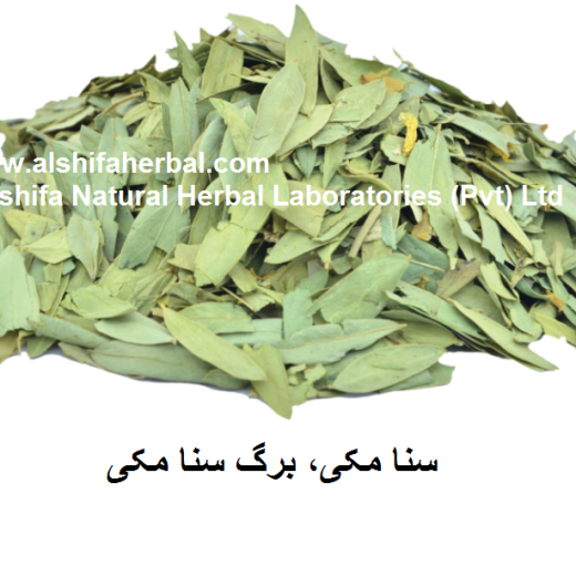 Sana Makki, Cassia angustifolia