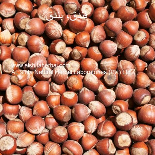 Findaq, Hazelnut