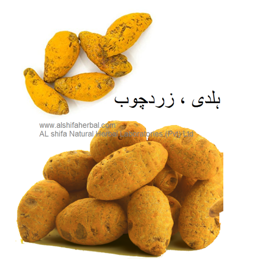 Haldi, Turmeric