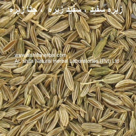 Zeera Safed, Cumin Seeds
