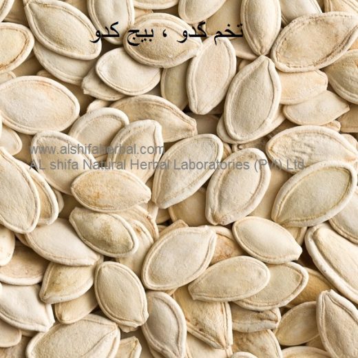 Tukhm-e-Kadu, Pumpkin Seeds
