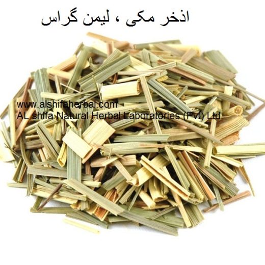 Izkhar Makki, Lemongrass