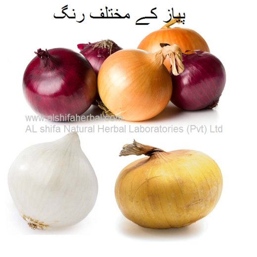 Piyaz, Onion