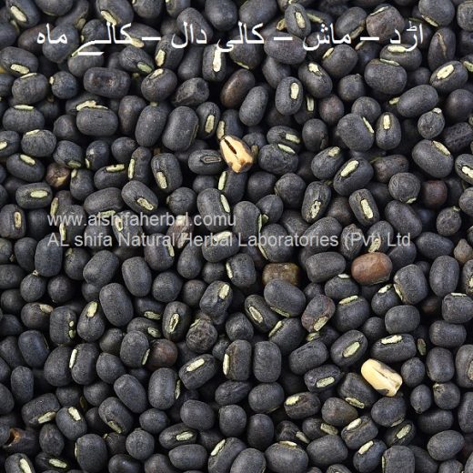 Urad Mash, Black Gram