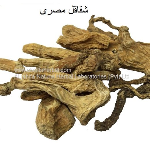 Shaqaqul Misri, Parsnip