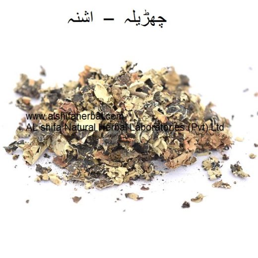 Charila, Lichen