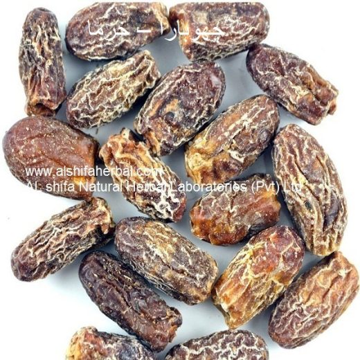 Chuhara, Date Palm