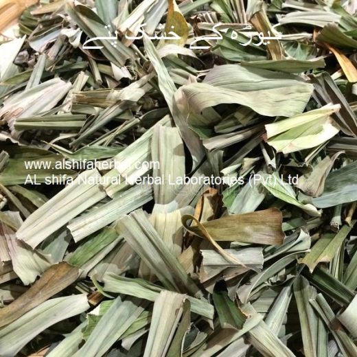 Keora, Fragrant Screw Pine