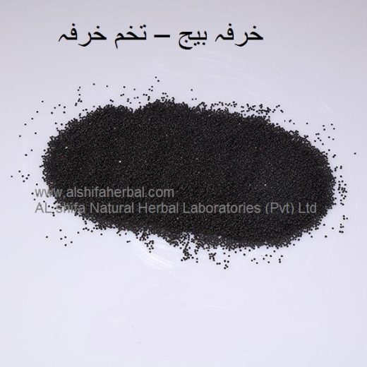 Tukhm-e-khurfa, Purslane Seeds