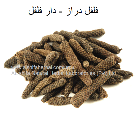 Filfil Daraz, Long Pepper