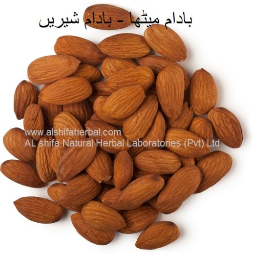 Badam, Sweet Almond