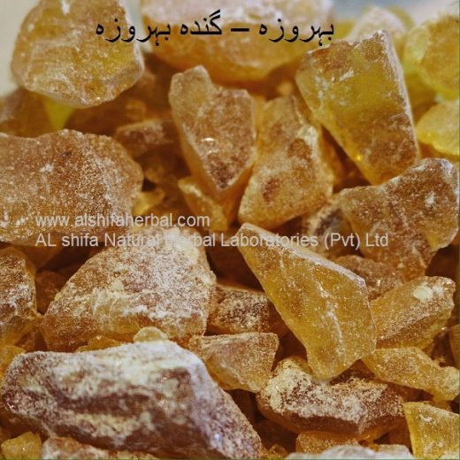 Behroza,  Pine Resin