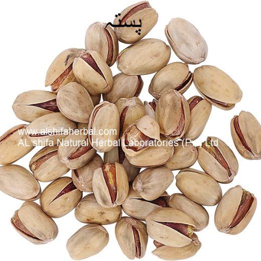 Pista, Pistachio Nut