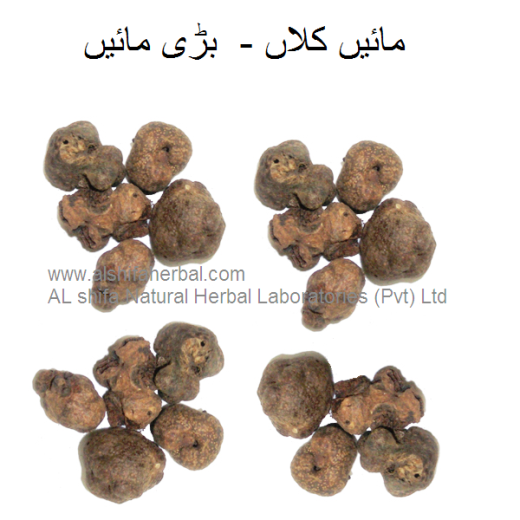 Main Kalan, Tamarisk