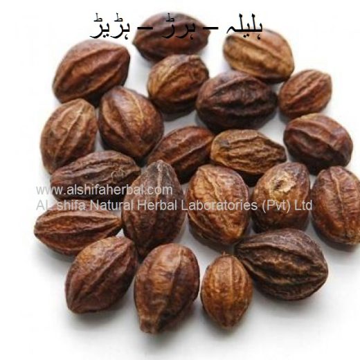 Halela, Harar, Myrobalan