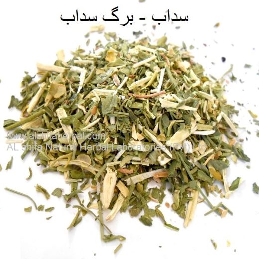 Berge Saddab, Garden Rue