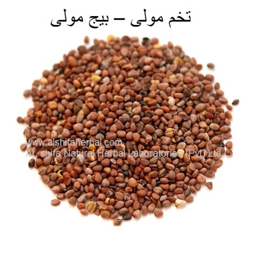 Tukhm-e-Mooli, Radish Seeds