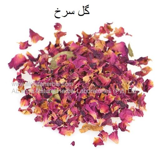 Gul surkh, Gulab, Rose
