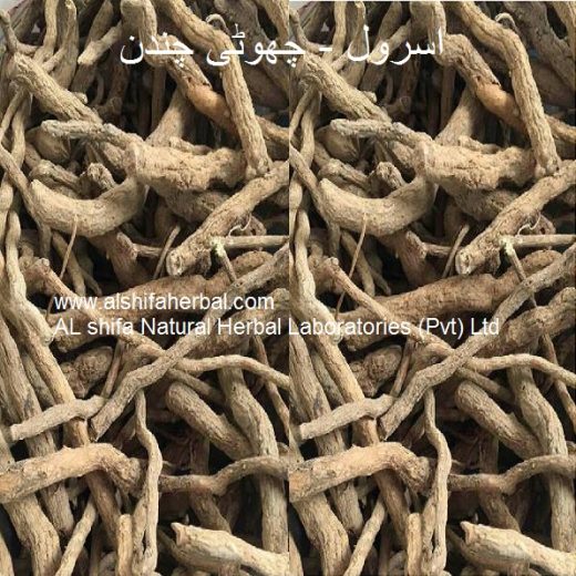 Choti Chandan, Indian Snakeroot